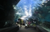 Siam Ocean World